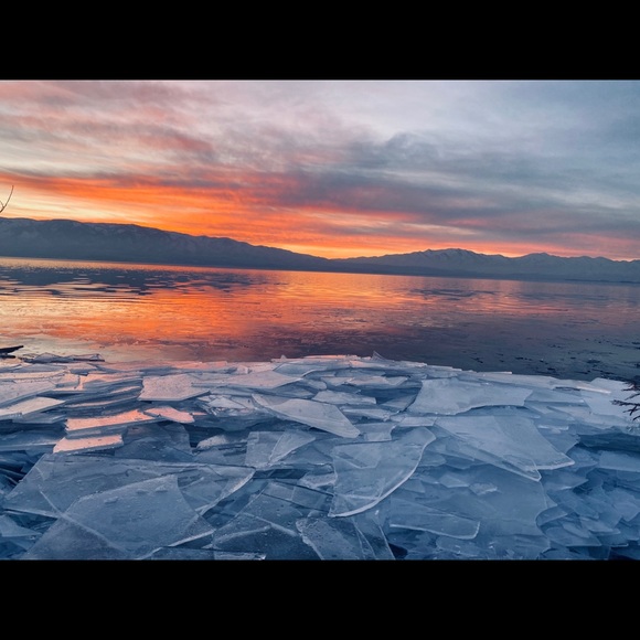 Meet your Posher, Elycia - Picture 1 of 1